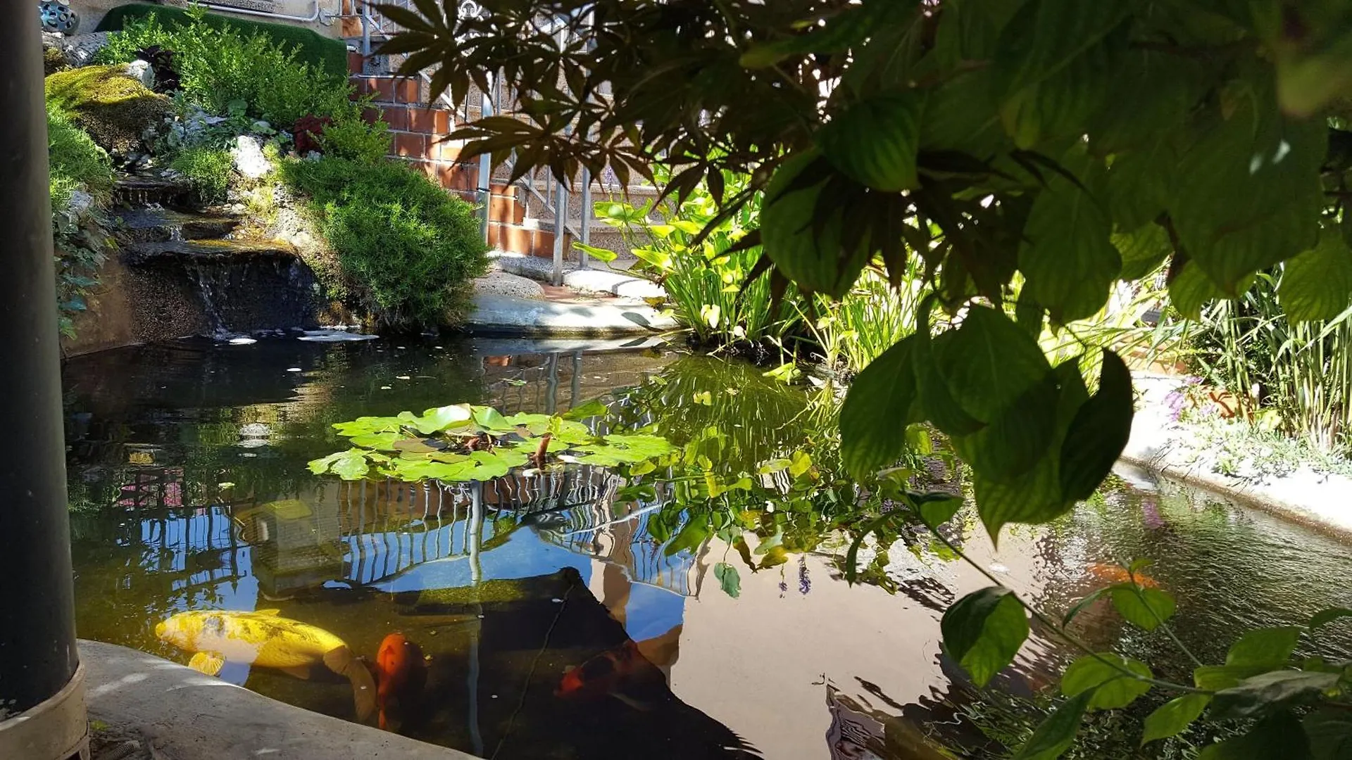 Apartment 2 Zimmerwohnung Fuer 3 Personen Banjole Croatia